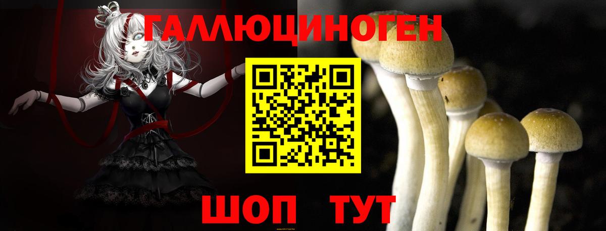 Карталы  Галлюциногенные грибы MAGIC MUSHROOMS  Псилоцибиновые грибы GOLDEN TEACHER  Вход с VPN 